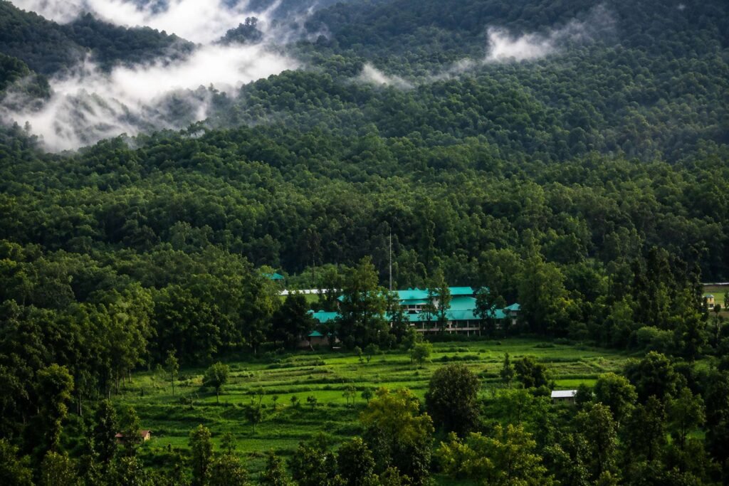 jim corbett national park