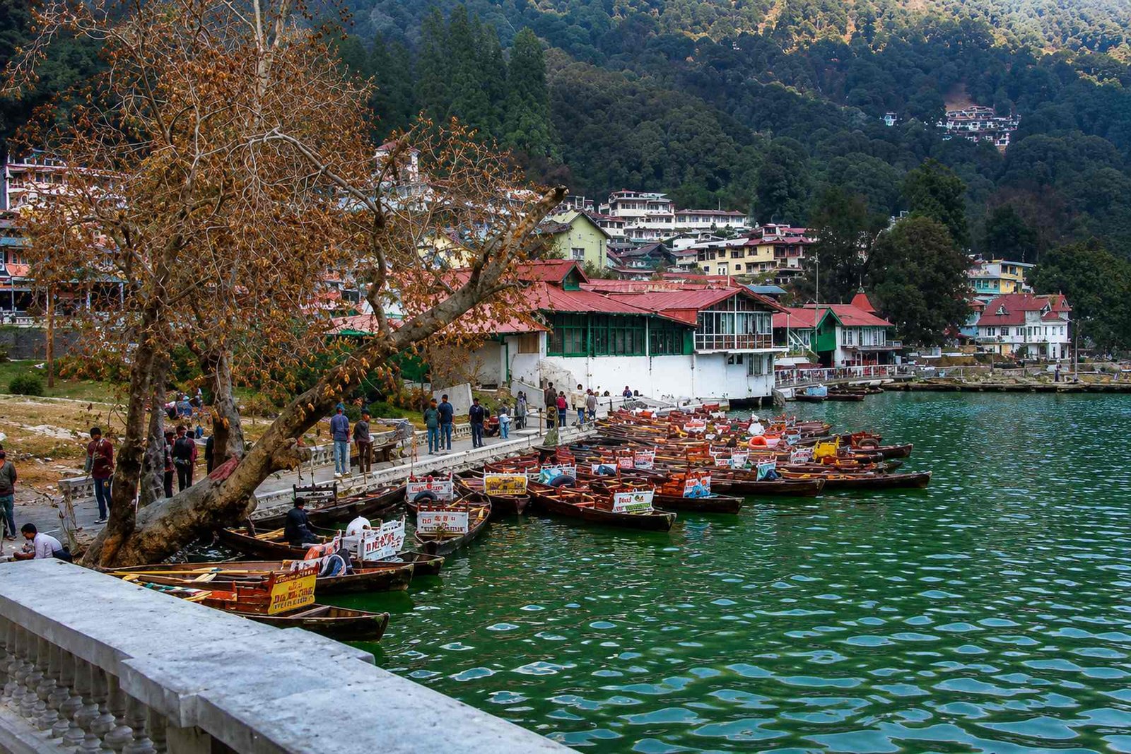 nainital